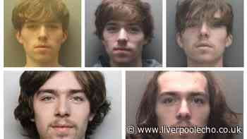 How Elle Edwards' killer Connor Chapman went from 'nuisance ASBO yob' to lifetime prison sentence