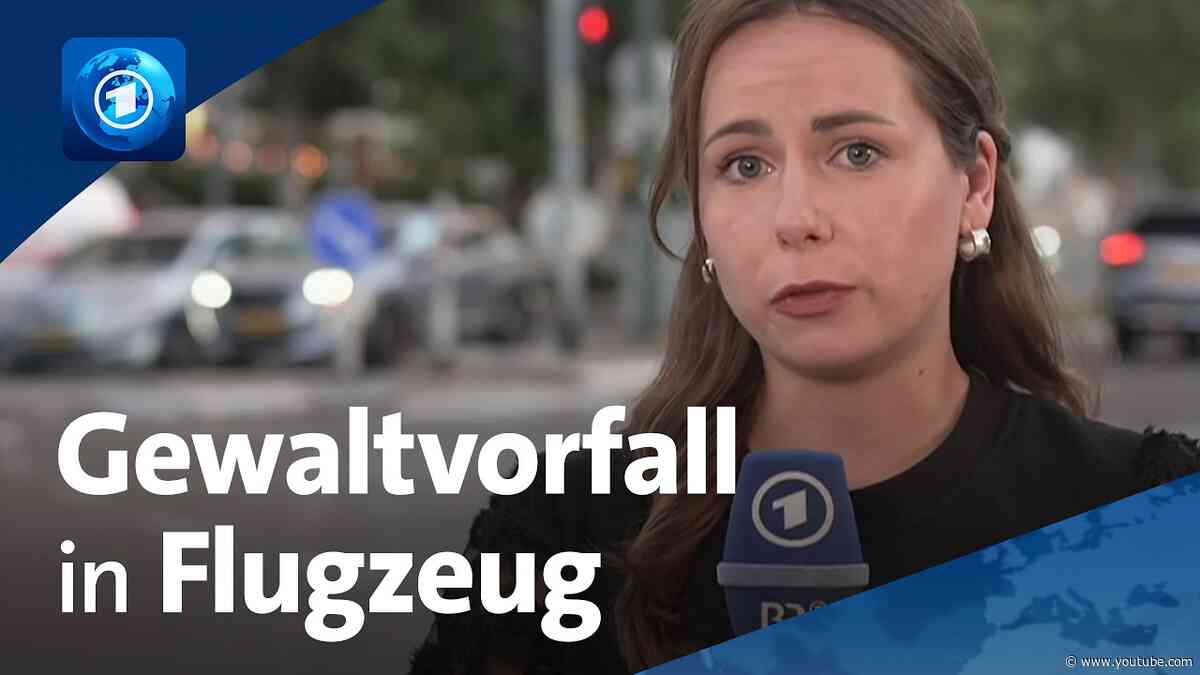 Flug nach Israel: Passagierflugzeug entgeht wohl nur knapp Katastrophe