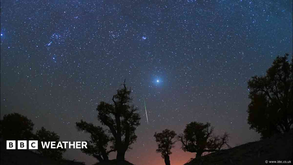 Orionid meteor shower to streak across night sky this week