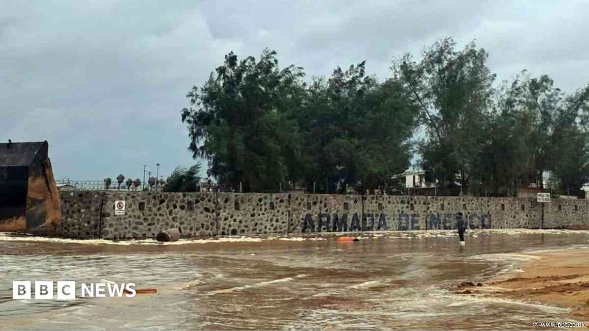 Hurricane Polo makes landfall on Mexico's Pacific coast