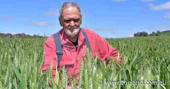 Why this cropper credits a disc seeder as the 'cornerstone' of the operation