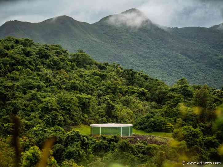 Brazil’s Inhotim Marks 20 Years and Looks to a Future Beyond Its Founder