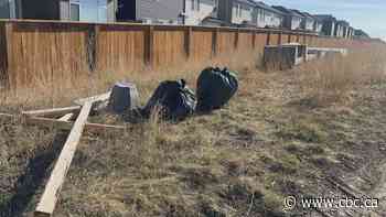 Alberta proposes fines of up to $1M for illegal garbage dumping