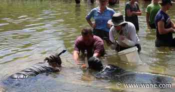 Fort Wayne Zoo receives AZA conservation award