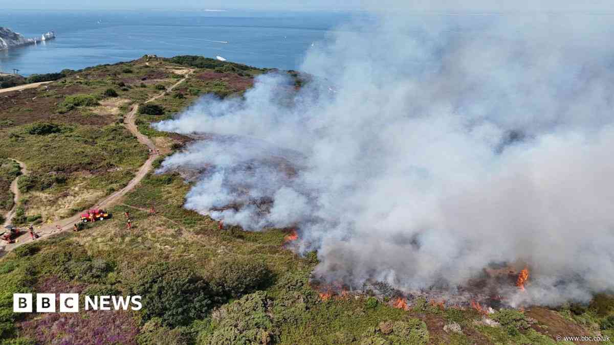 Is the South ready for a future of wildfires?