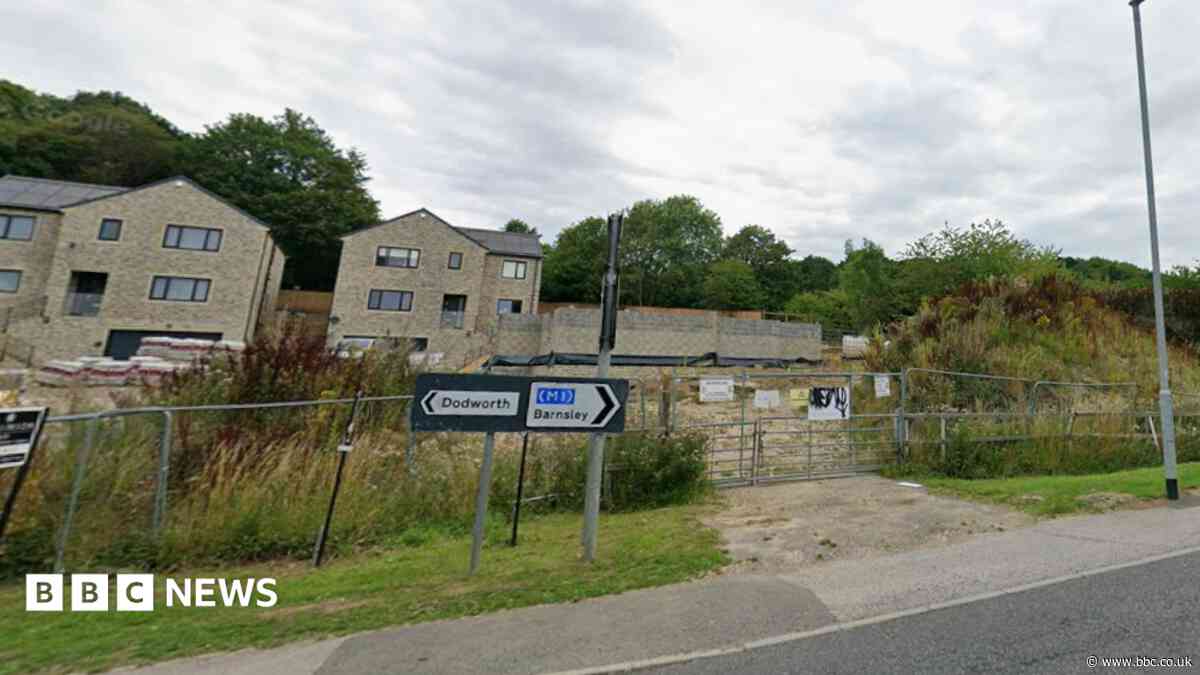 Housing plan for green space land could go ahead