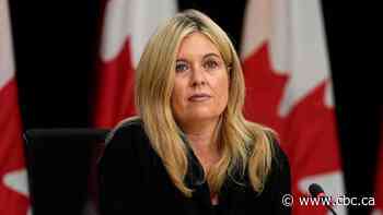 Conservative critic says government must hit lower immigration target in next levels plan