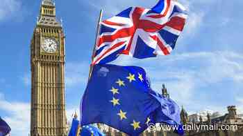 DANIEL HANNAN: Spoiler alert! Britain will NOT rejoin the EU. Here are some of the many reasons why...