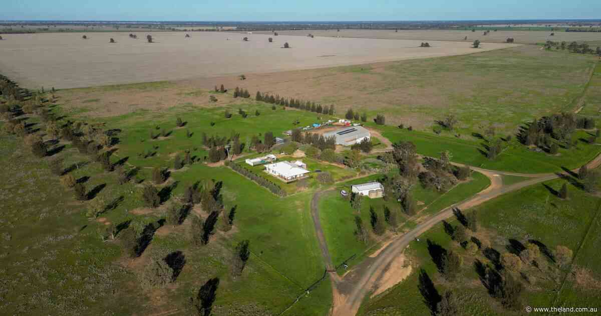 Expertly managed Berragoon delivers broadacre farming excellence | Video