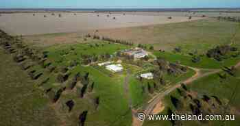 Expertly managed Berragoon delivers broadacre farming excellence | Video