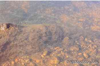 Cyanobacterial Bloom Advisory Issued For Granite Reservoir