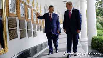 Trump may have found his own answer to panda diplomacy in Sino-US relations... discover the unlikely 'secret weapon' charming Xi Jinping and causing a stir on Chinese social media in the free DC Insider newsletter