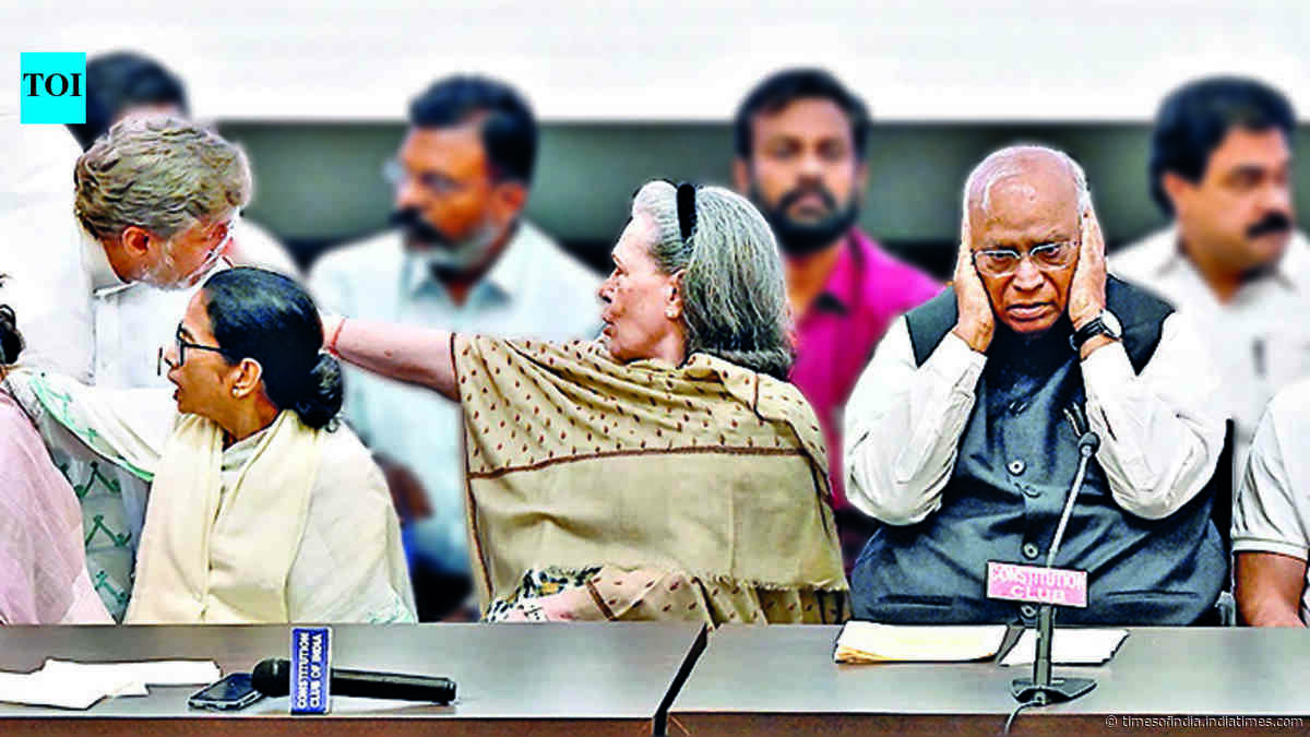 Amid SIR row, INDIA bloc puts up united front, targets PM Modi, Shah
