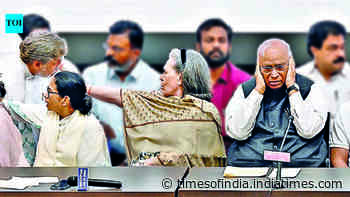 Amid SIR row, INDIA bloc puts up united front, targets PM Modi, Shah