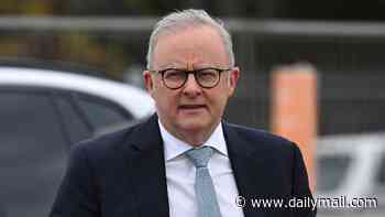 Aussies are paying the price to tame inflation - but Albo risks throwing away a rare glimmer of hope: PETER VAN ONSELEN