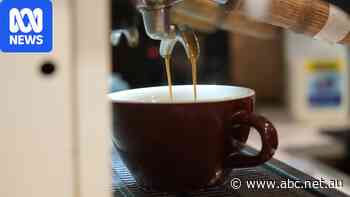 Nation's love affair with coffee on shaky ground as cost of living bites