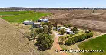 Ravenlea a productive property with excellent infrastructure | Video