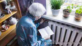 Households to benefit from £45 energy bill saving as new tax cut starts today