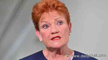 Outrage as Muslim graves are vandalised at Sydney cemetery - as Islamic leader blames Pauline Hanson