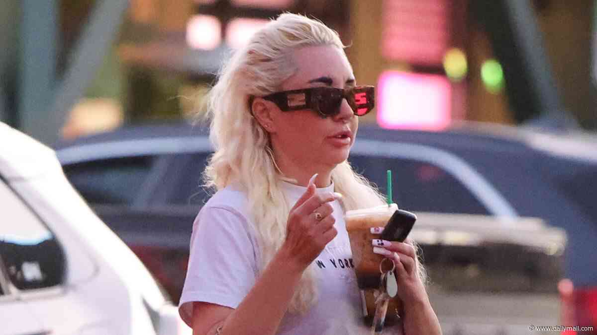 Amanda Bynes seen out in LA after fans slammed her for charging 'insane' price for handmade 'trash bag' purse