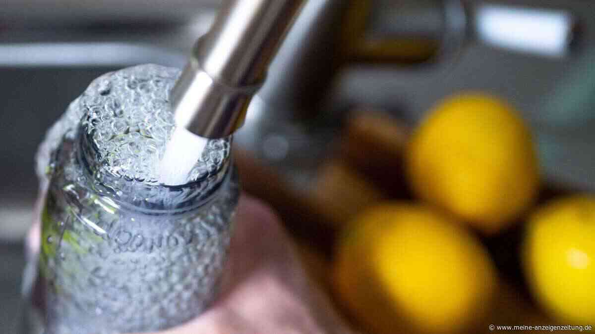 Trinkflasche und Co.: Reicht Spülen mit klarem Wasser aus?