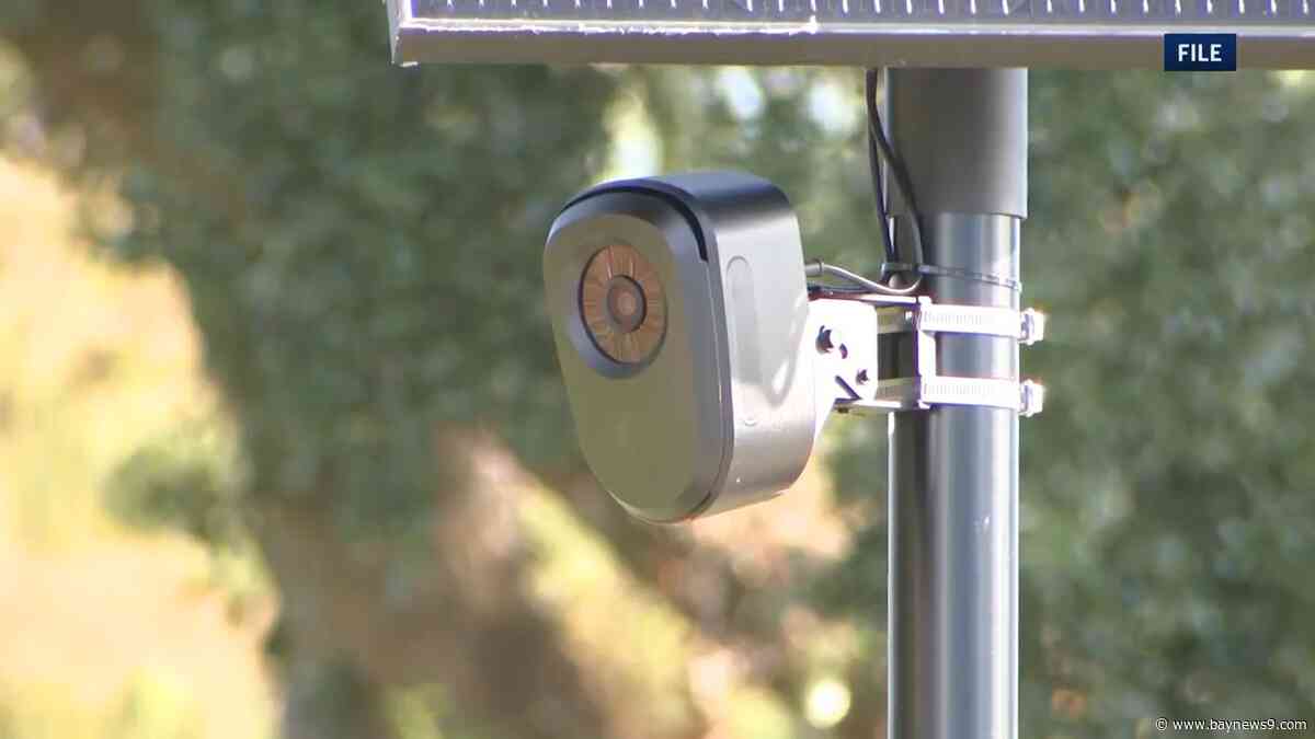 Pinellas County deputies accused of misusing databases to pursue romantic interests