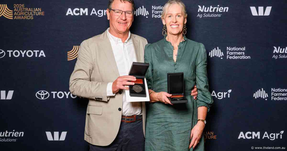 'Australians are great adopters': why an innovation win is credited to clients