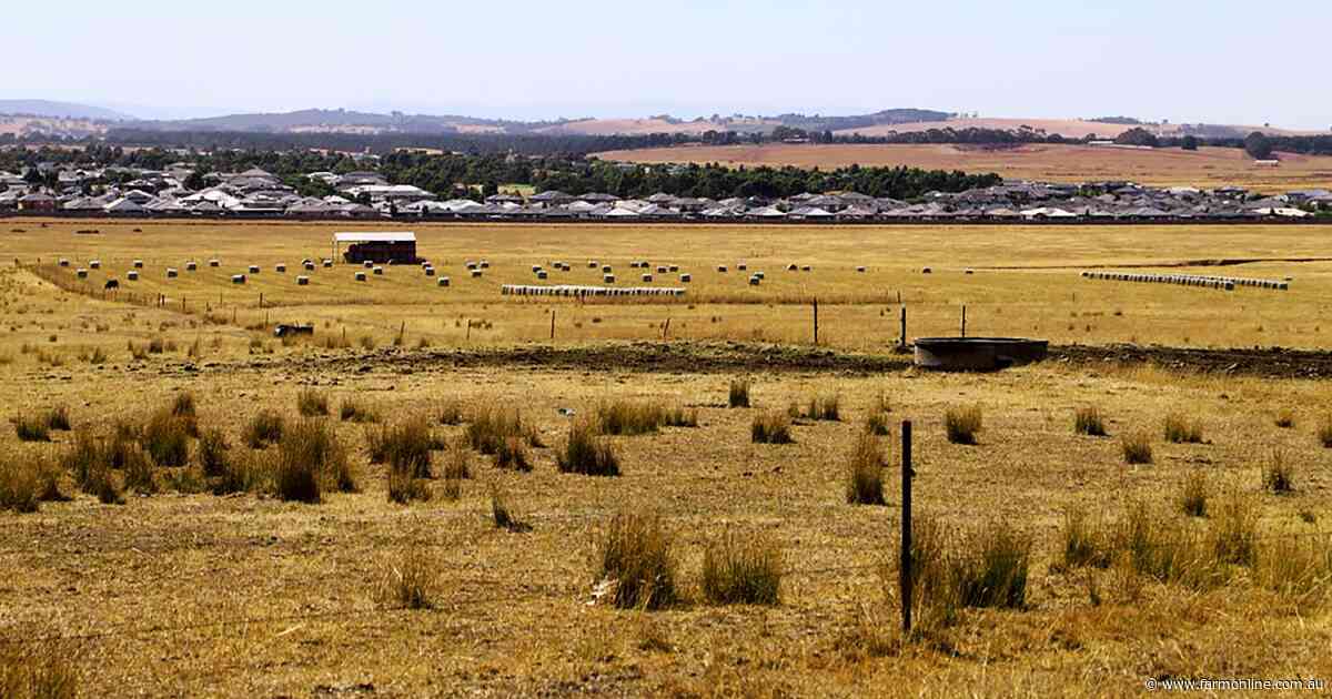 Sydney vs Melbourne: showdown over multimillion-dollar cattle farms