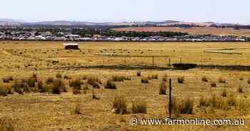 Sydney vs Melbourne: showdown over multimillion-dollar cattle farms