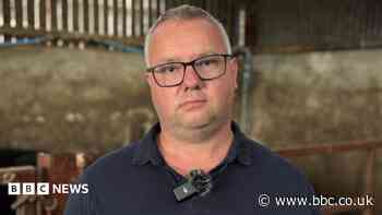 Farmer 'thankful to be alive' after falling through roof at work