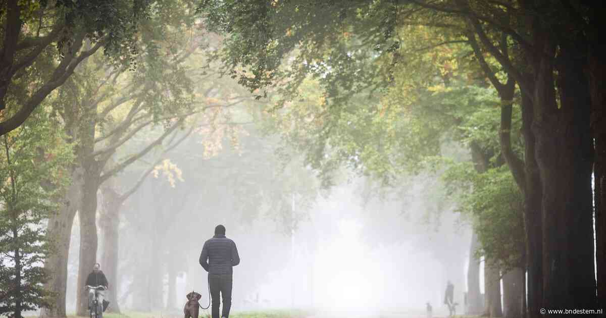 Na warm einde van de maand start oktober een stuk koeler