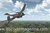 Newly Identified <em>Norellraptor</em> Could Reshape What We Know About Feathered Dinosaur Flight Evolution&nbsp;