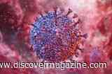 5 Infections, Including Epstein-Barr Virus, Were Linked to 2.3 Million New Cancer Cases in 2024