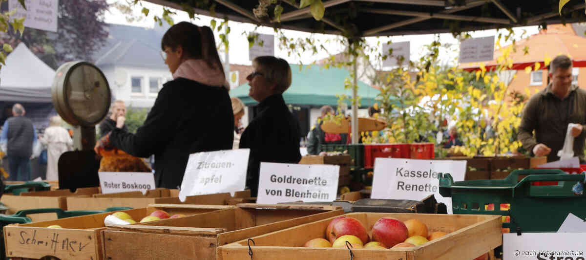 Regional, saisonal, lecker – der Erlebnismarkt rund um den Apfel