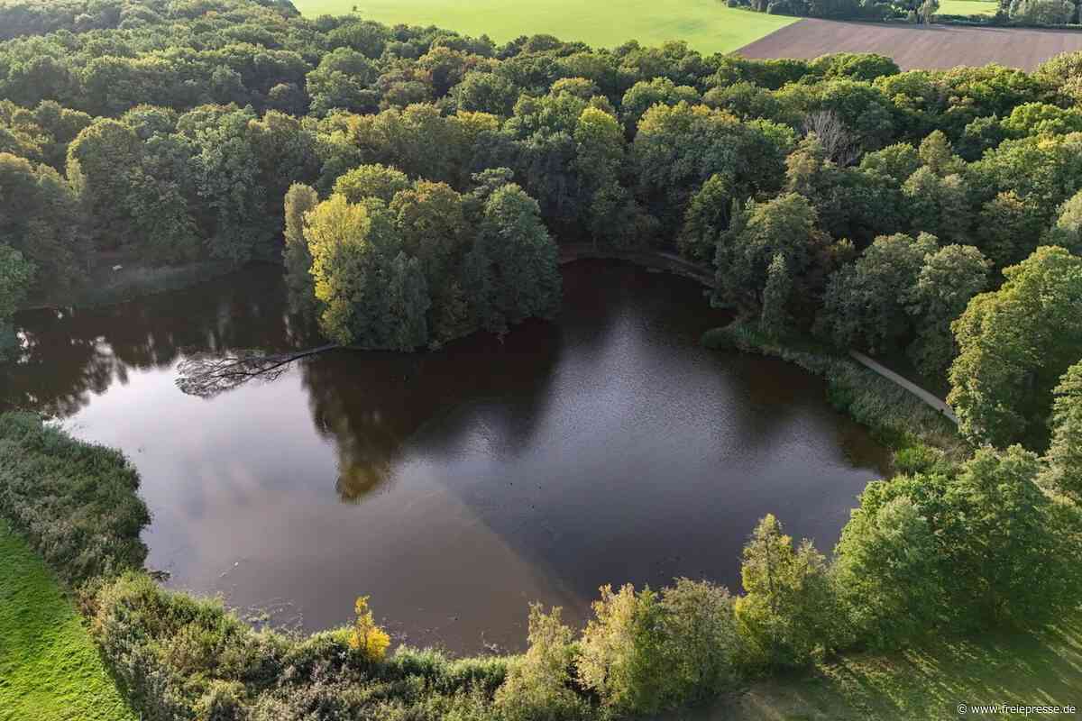 Vandalismus im Grünfelder Park in Waldenburg: Unbekannte werfen Bank in Teich