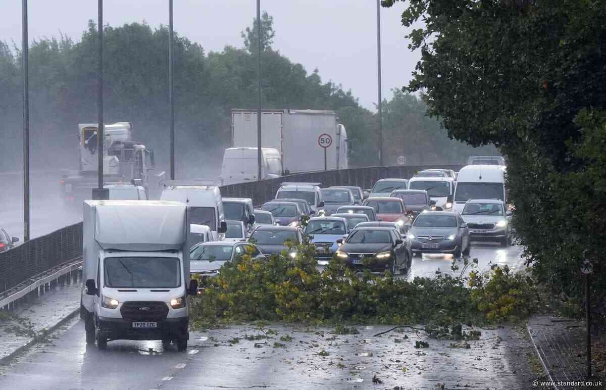 How the last Super El Niño hit London - and what it could mean for the capital this winter