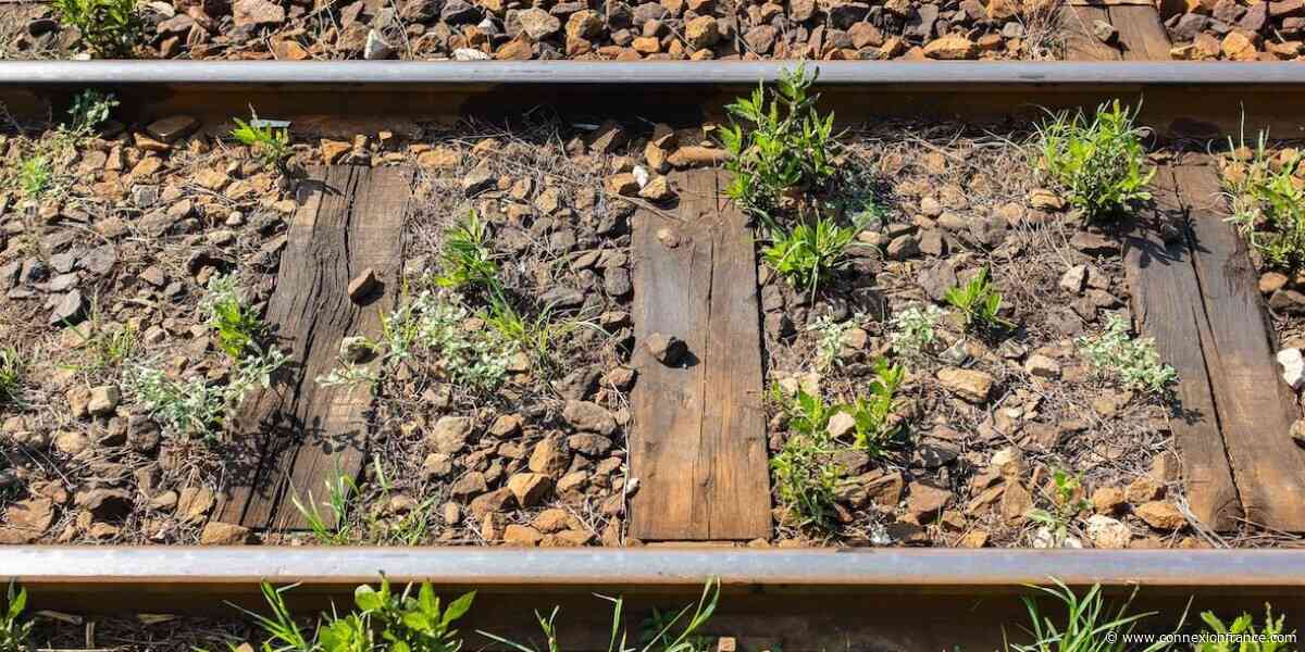 SNCF takes long-term approach to cleaner railway sleeper recycling
