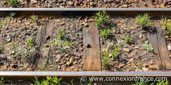 SNCF takes long-term approach to cleaner railway sleeper recycling