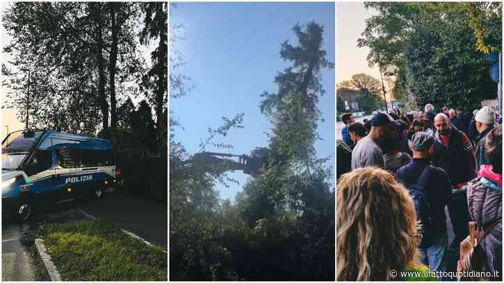 Bosco Ospizio di Reggio Emilia, le ruspe abbattono gli alberi prima della decisione del Consiglio di Stato sullo stop ai lavori
