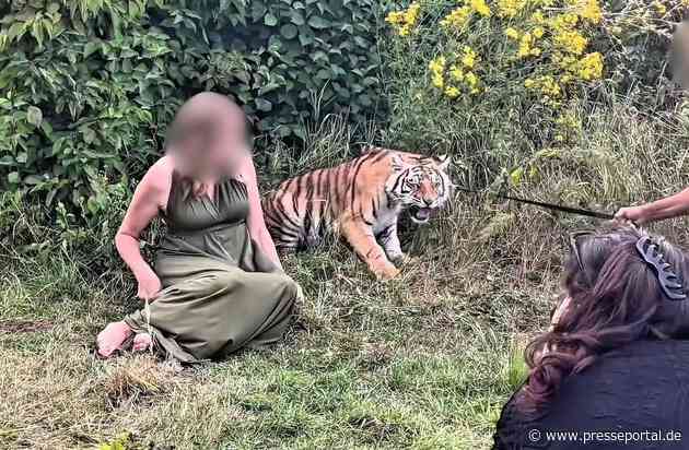 Tiger bei Wildtier-Shooting misshandelt: VETO Tierschutz erstattet Strafanzeige bei der Staatsanwaltschaft Bonn gegen Dompteur von Melody's Circusland