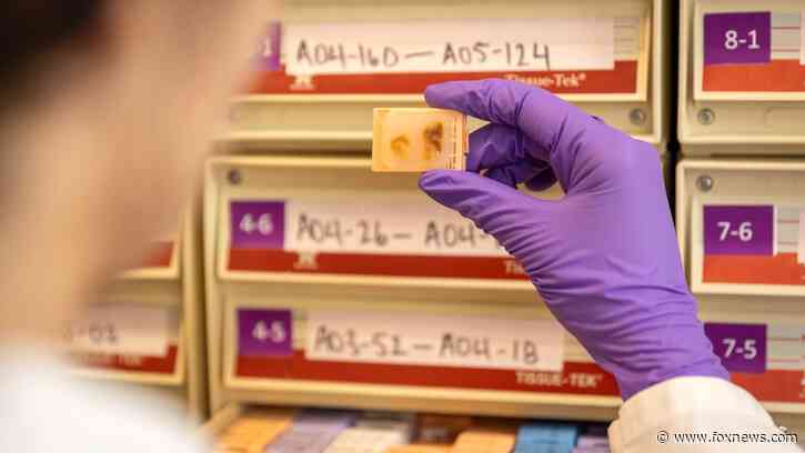 Fetal tissue supplier billed $765 procurement fee per organ, warns records could imply illegal sales: records