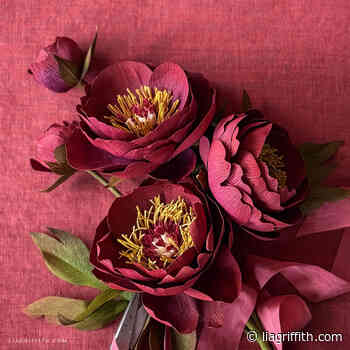 Crepe Paper Buckeye Belle Peony Video Workshop
