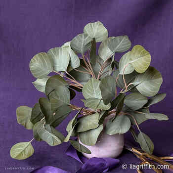 Crepe Paper Silver Dollar Eucalyptus Video Workshop