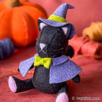 Felt Witch Kitty