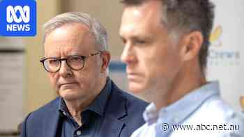 The last thing Albanese needed was free advice from his own side