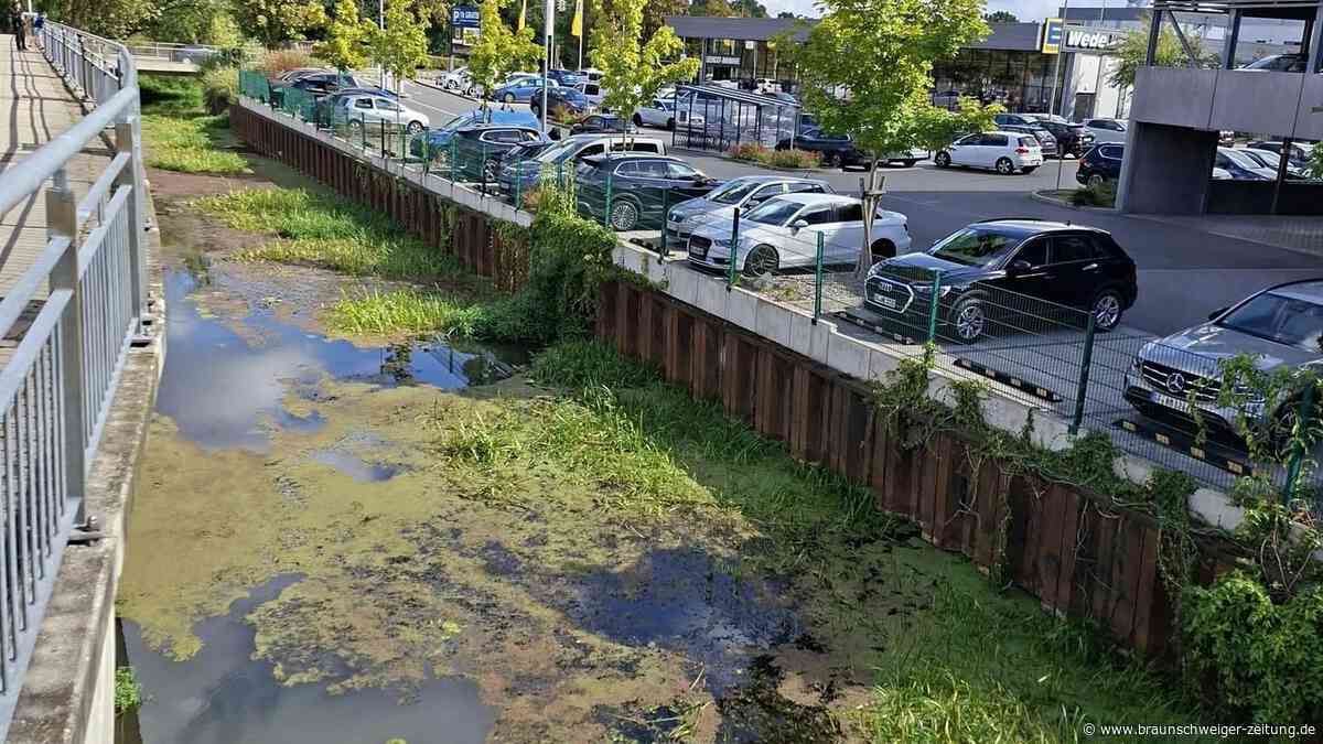 Kein Scherz: Extra-Planstelle in Gifhorns Rathaus für 6-Millionen-Flussradweg