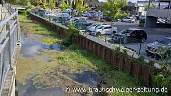 Kein Scherz: Extra-Planstelle in Gifhorns Rathaus für 6-Millionen-Flussradweg