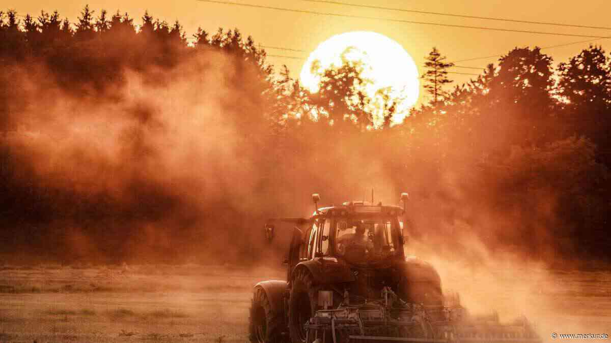 Wegen anhaltender Trockenheit: Bayerisches Dorf muss Wasser sparen