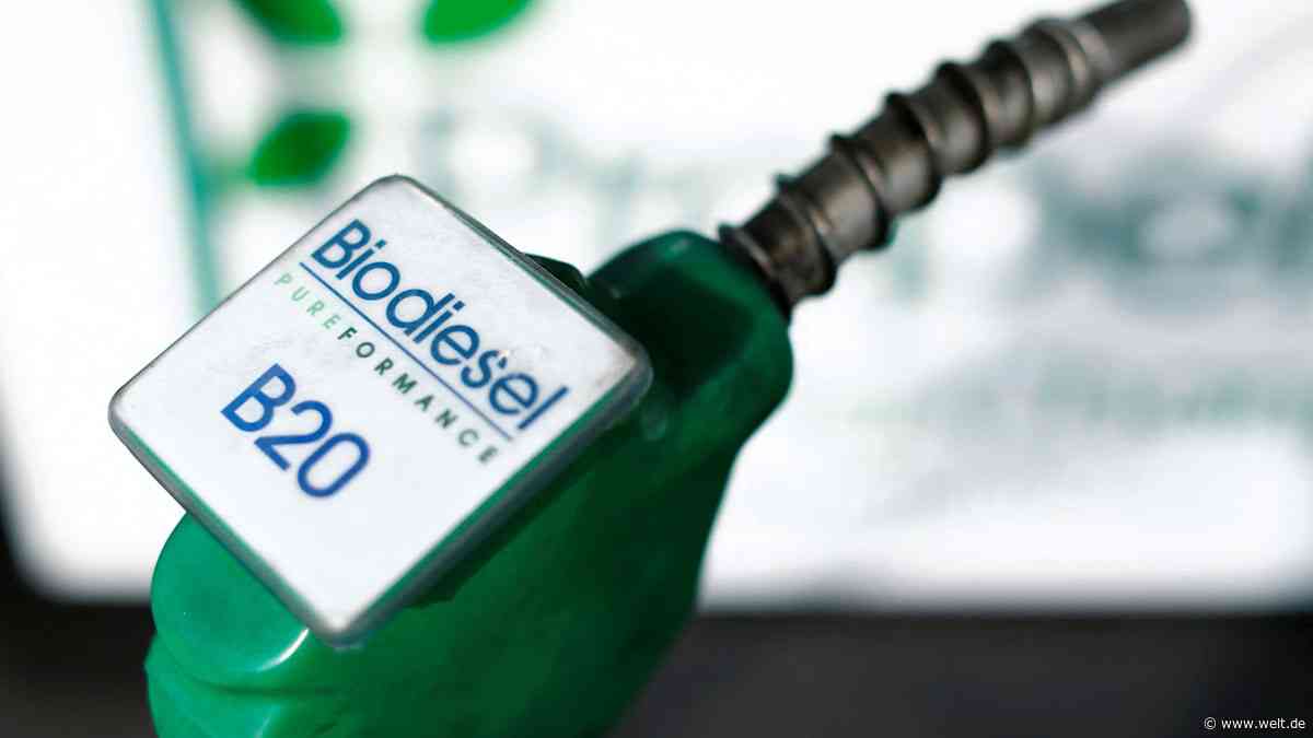 Biodiesel gegen Spritpreis-Schock – doch ausgerechnet VW behindert den Plan