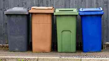 Binmen can refuse to take away your rubbish if 1 item is spotted in recycling